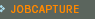 JobCapture