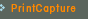 PrintCapture
